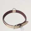 Large Leather Dog Collar Dune & Oxblood Small Classic Grain