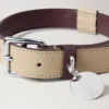 Large Leather Dog Collar Dune & Oxblood Small Classic Grain