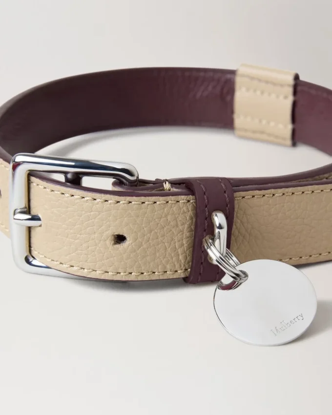 Large Leather Dog Collar Dune & Oxblood Small Classic Grain