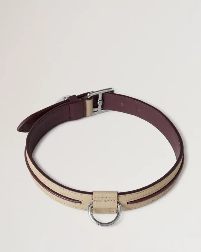 Large Leather Dog Collar Dune & Oxblood Small Classic Grain