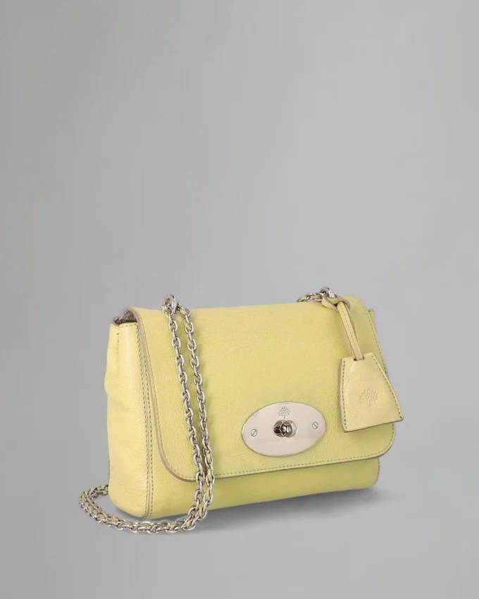 Lily Pre-Loved Pistachio Glossy Goat Leather Pre-Loved Bags