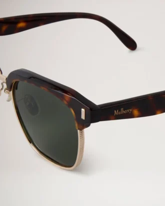 Rowan Sunglasses Tortoiseshell Bio Acetate Sunglasses