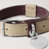 Small Leather Dog Collar Dune & Oxblood Small Classic Grain