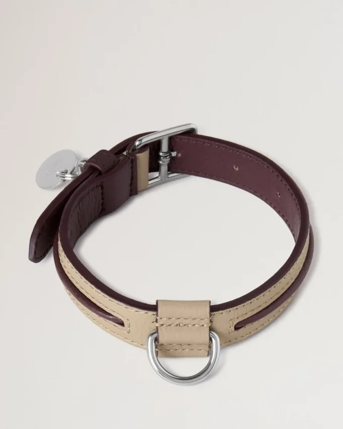 Small Leather Dog Collar Dune & Oxblood Small Classic Grain