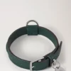 Small Leather Dog Collar Mulberry Green Small Classic Grain