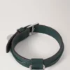 Small Leather Dog Collar Mulberry Green Small Classic Grain