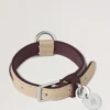 Xs Leather Dog Collar Dune & Oxblood Small Classic Grain
