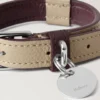 Xs Leather Dog Collar Dune & Oxblood Small Classic Grain