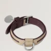 Xs Leather Dog Collar Dune & Oxblood Small Classic Grain